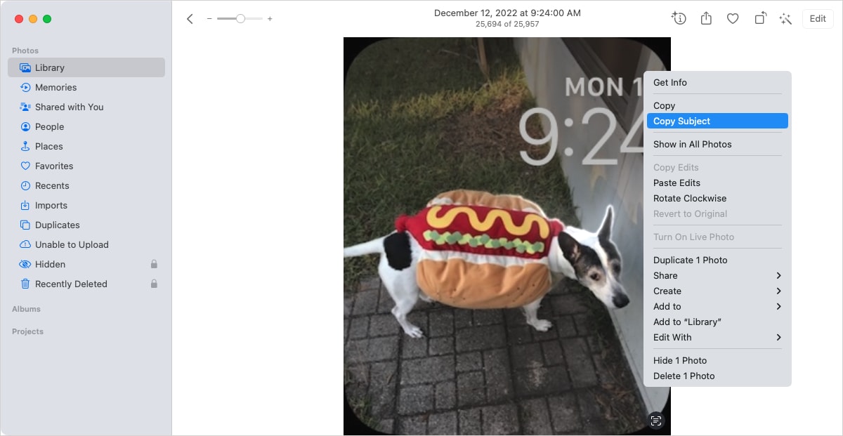Copy Subject in the Photos shortcut menu