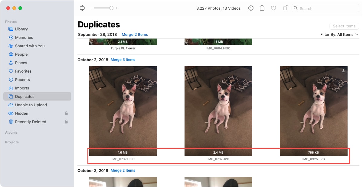 Details for Duplicates in Photos on Mac