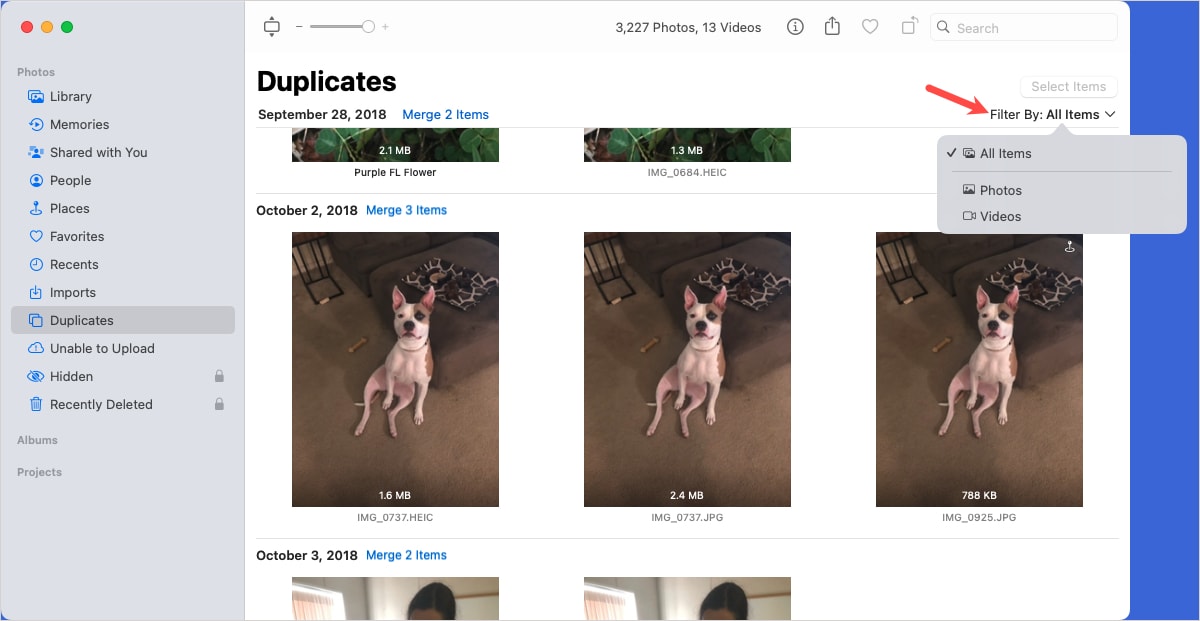 Duplicates filter in Photos