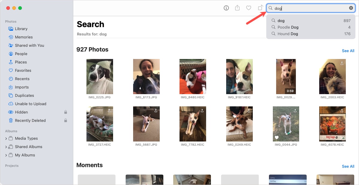 Keyword in the Photos Search box