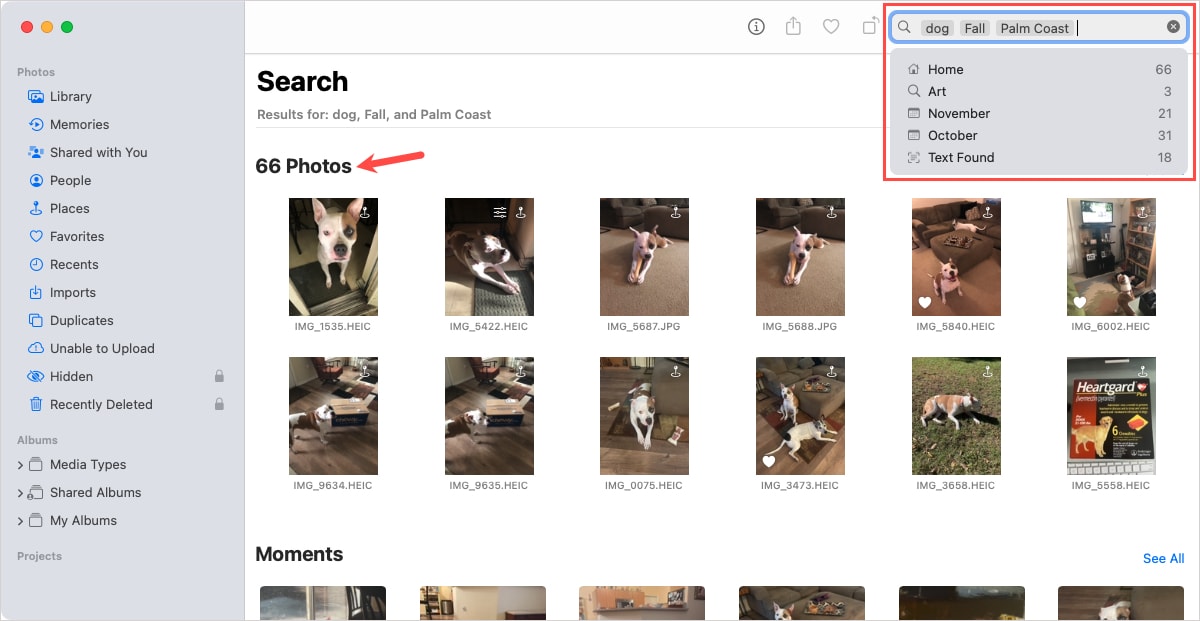 Additional keyword and narrowed results in Photos