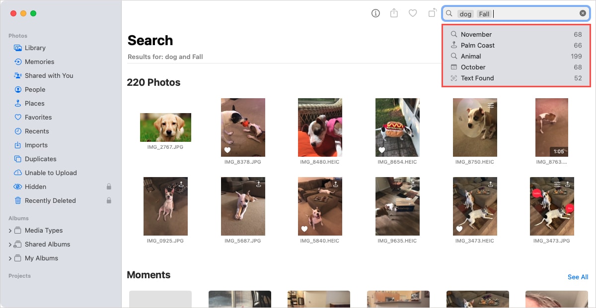 Photos Search suggestions