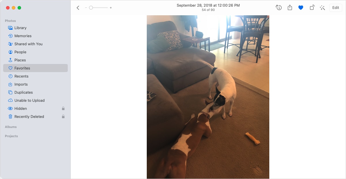 Photo in full view in Photos on Mac