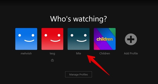 Netflix Pc Switch Profile