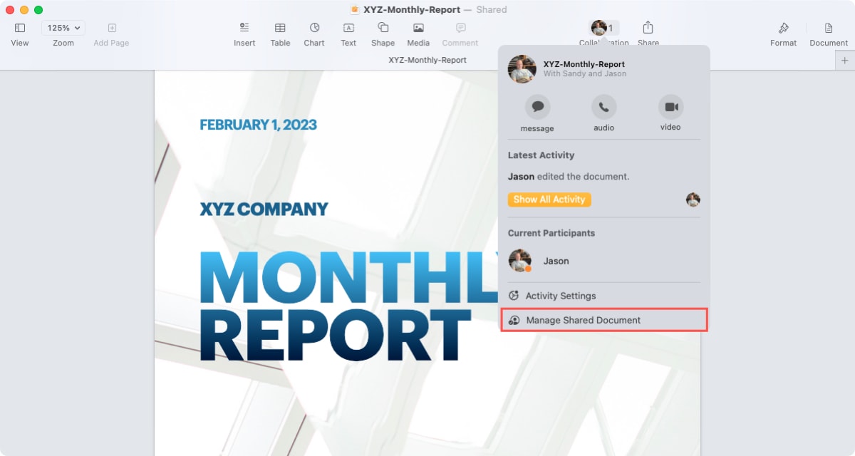 Manage Shared Document in Pages on Mac