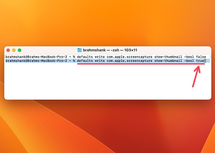 Screenshots Terminal Screen Capture True