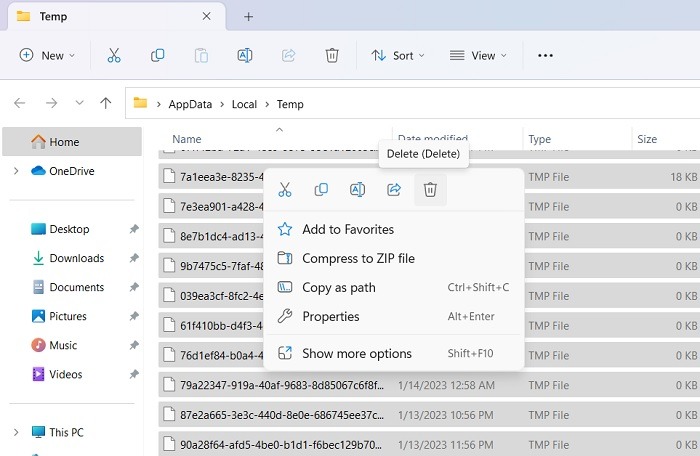 Windows Temp folder view.
