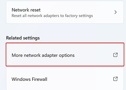 Unidentified Network - More Network Adapter Options