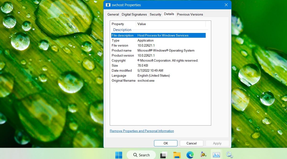 SysMain in File Explorer, its Properties and Description.
