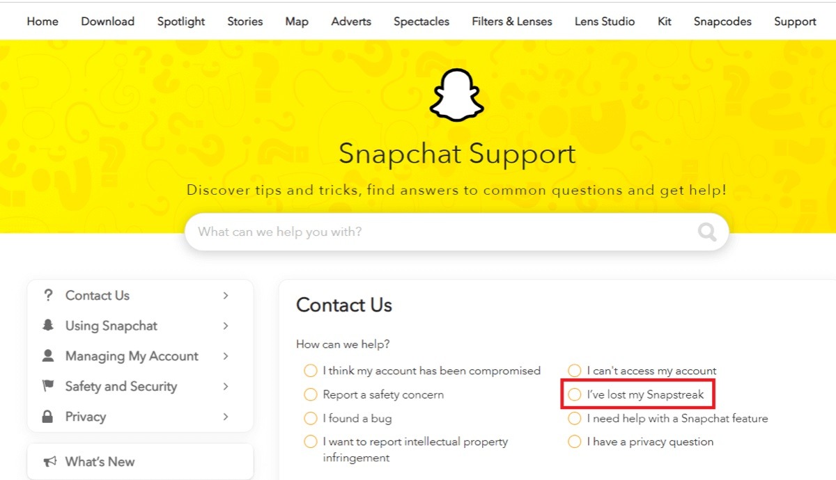 "I've lost my Snapstreak" option on web.