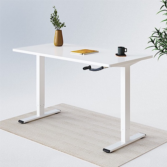 Flexispot Sale Crank