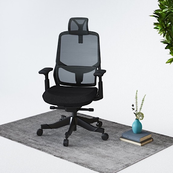 Flexispot Sale Soutien