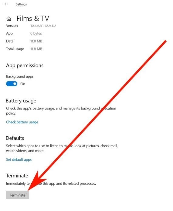 "Terminate" button in Windows Settings.