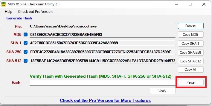 Pasting checksum in MD5 & SHA Checksum Utility. 