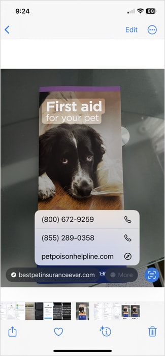 Live Text actions in Photos on iPhone