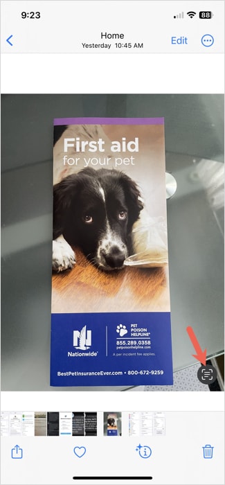 Live Text icon in Photos on iPhone