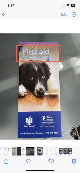 Text selected in a photo on iPhone