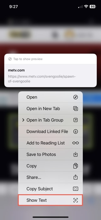Show Text in Safari on iPhone