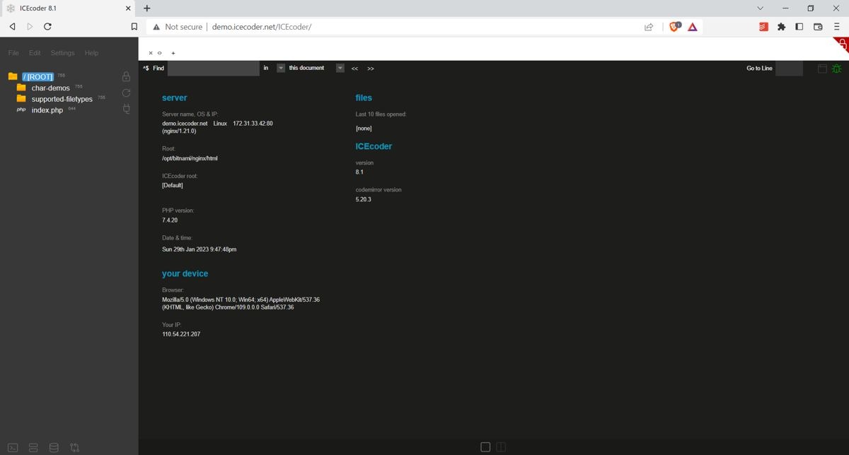 icecoder-editor ICEcoder in-editor view.