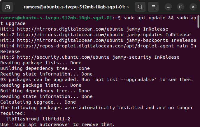 Install Jitsi Linux 05 Force Update