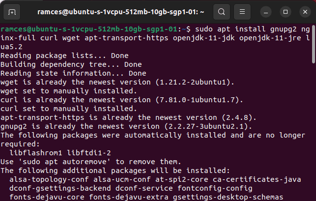 Install Jitsi Linux 06 Include Deps
