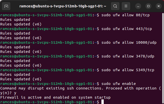 Install Jitsi Linux 10 Update Firewall Rules 1