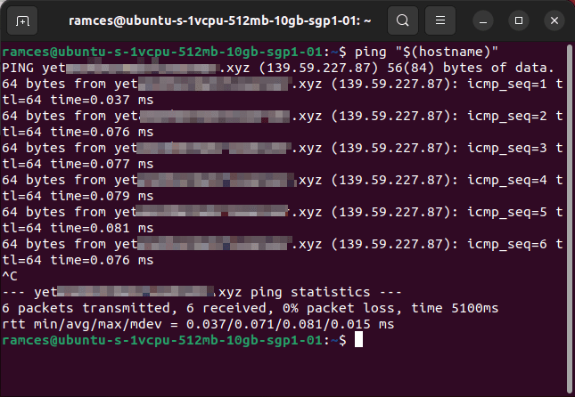 Install Jitsi Linux 19 Self Ping Fqdn