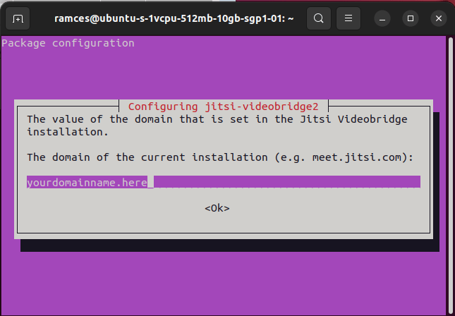 Install Jitsi Linux 21 Provide Fqdn