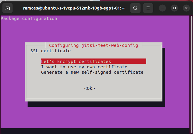 Install Jitsi Linux 22 Ssl Select