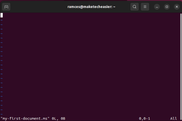 A terminal window showing a new ms document.