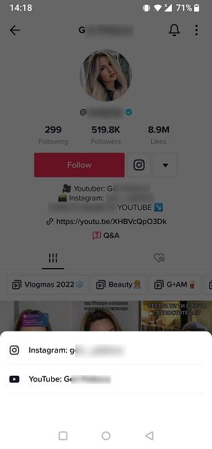 Instagram/YouTube profile options on TikTok.