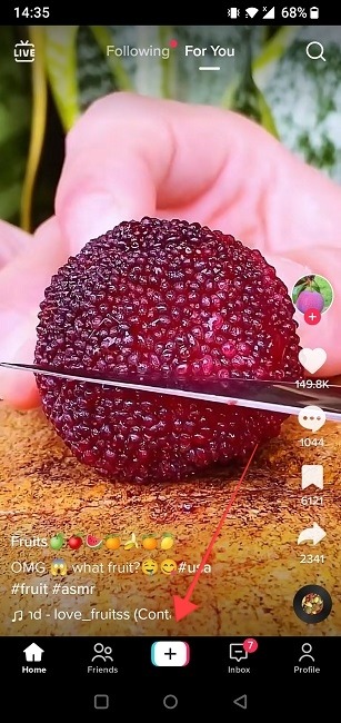 Link Tiktok Instagram New Video