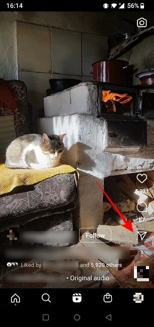 Reel on Instagram with "Share" button visible.