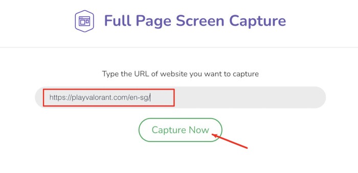 Scrolling Screenshot Full Page Screen Capture Input Link Capture Now