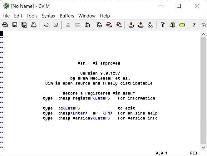 Vim Start Page Screenshot Vim in-editor view.