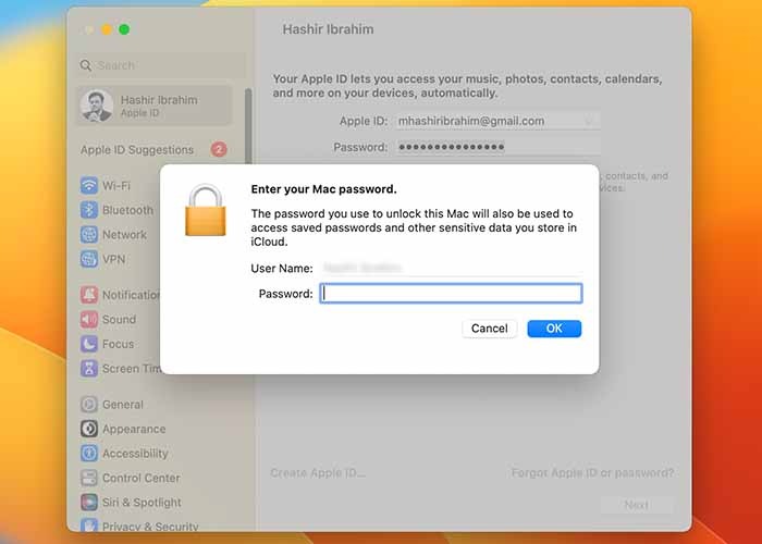 What Are Passkeys Entering Device Password