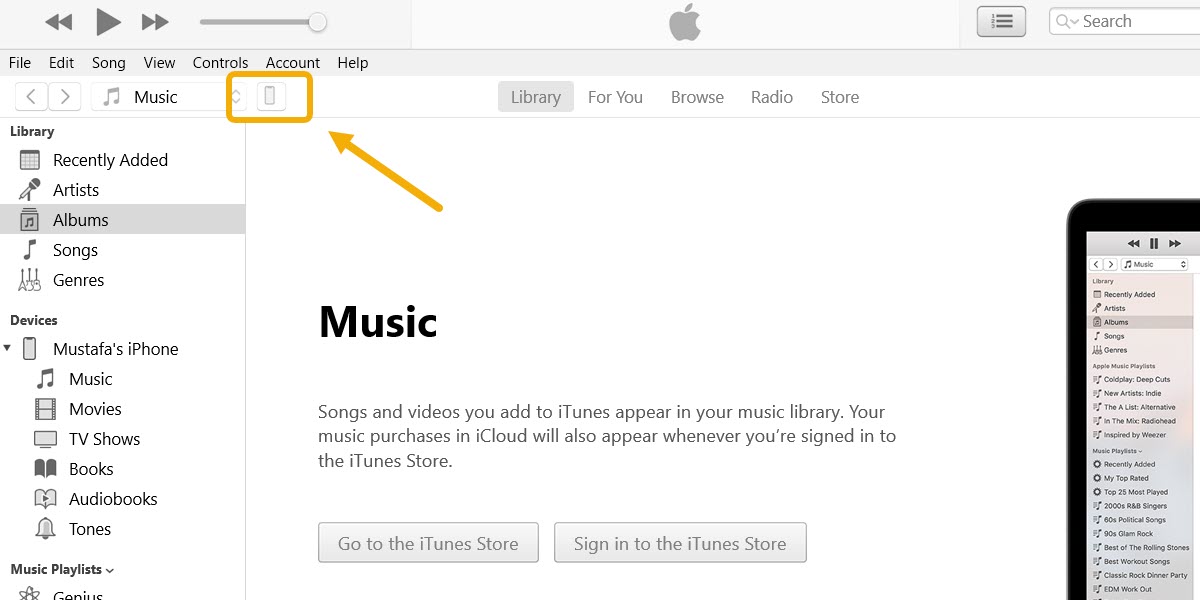 Phone-shaped icon in iTunes on Windows.