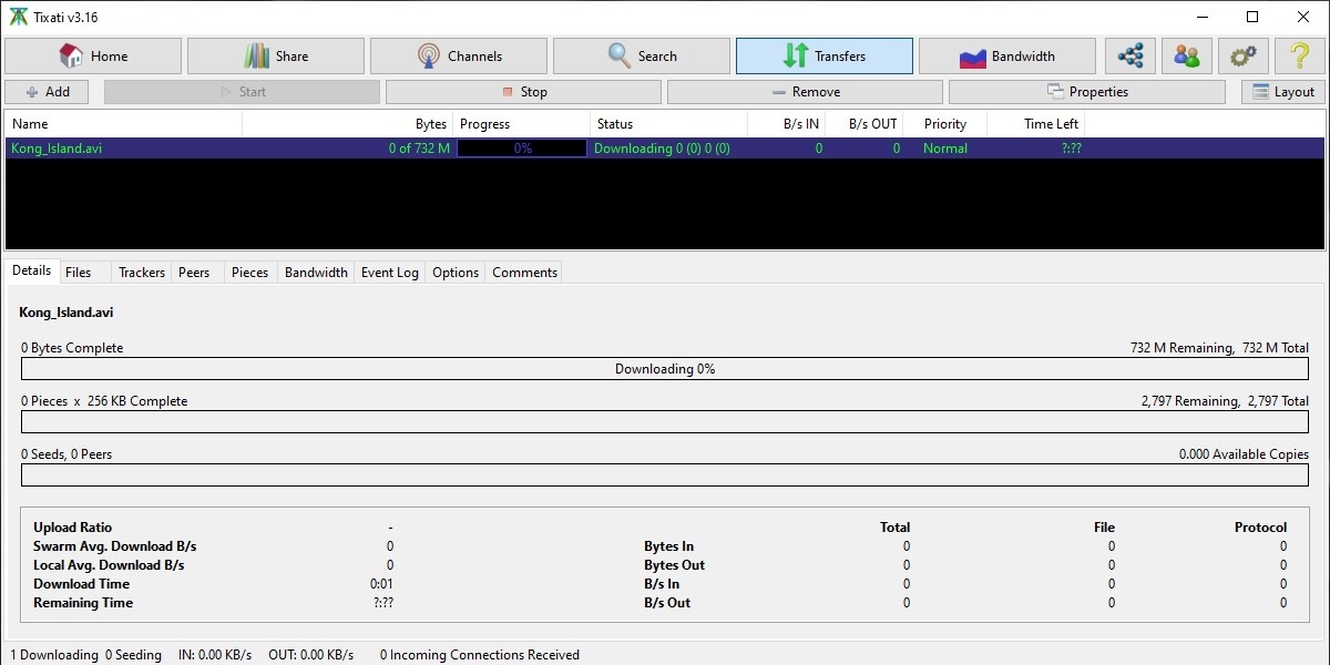 Tixati interface overview in Windows.
