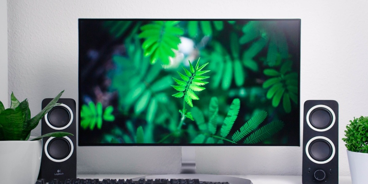 Curved Vs Flat Monitor Flat Monitor