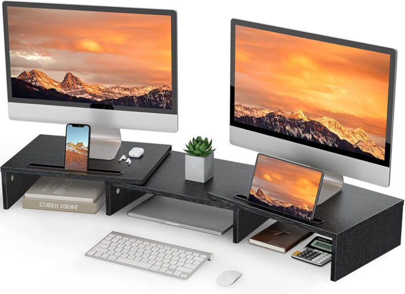 Loryergo Dual Monitor Stand