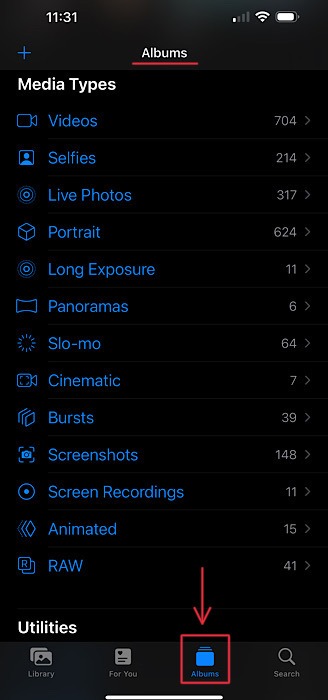 Photo Recovery Albums