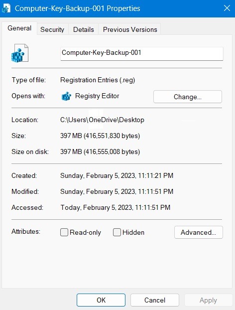 Entire Computer key backup saved to the desktop folder. Its size and details.
