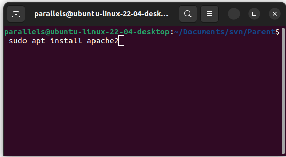 Ubuntu Set Up Subversion Sudo Apt Install Apache2