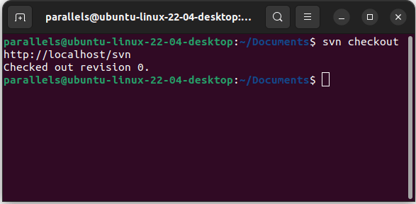 Ubuntu Set Up Subversion Svn Checkout Localhost