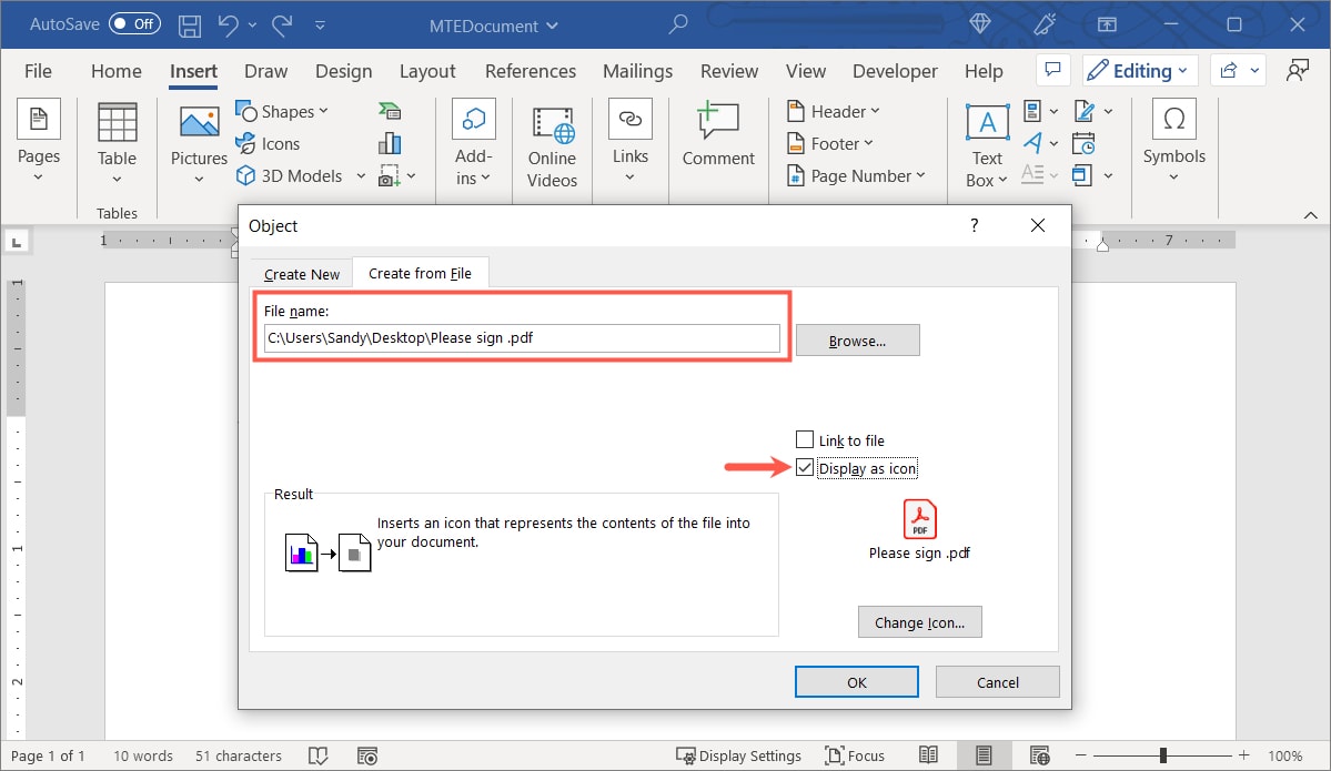 File name and Display As Icon box checked