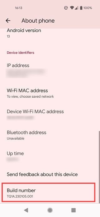 Build number in Settings o Android phone.