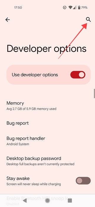 Search option in Developer Options.