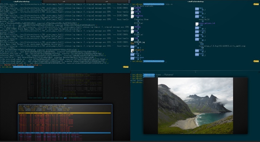 Best Terminal Emulators For Linux Terminology