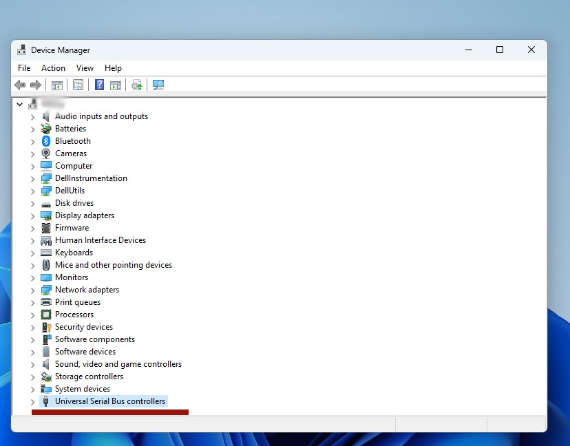 "Universal Serial Bus controller" driver view in Device Manager.