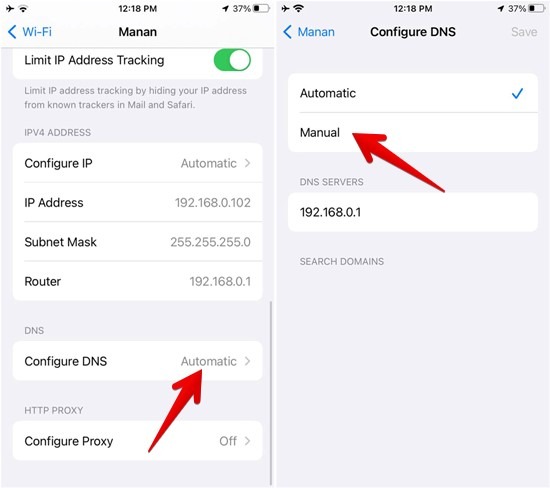 "Configure DNS" option on iPhone.